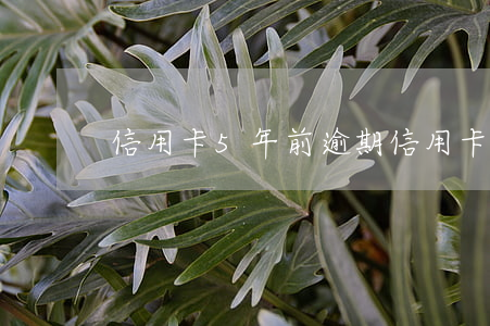 信用卡5年前逾期（信用卡逾期了五年怎么辦）