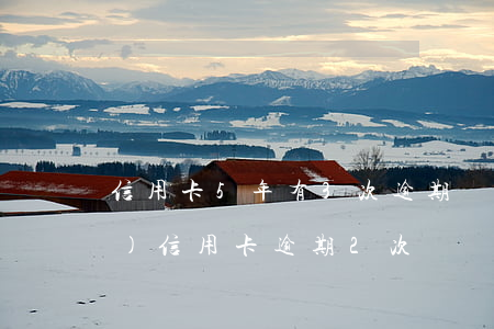 信用卡5年有3次逾期記錄(五年內(nèi)信用卡逾期2次)