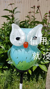 信用卡5年有逾期2年沒有(5年后信用逾期就沒有的嗎)