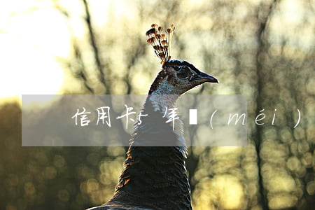 信用卡5年沒(méi)還了逾期了怎么辦