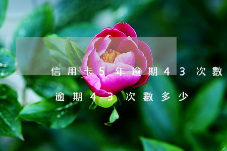 信用卡5年逾期43次數多少-信用卡5年逾期43次數多少