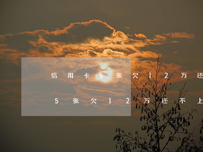 信用卡5张欠12万还不上怎么办-信用卡5张欠12万还不上怎么办呢