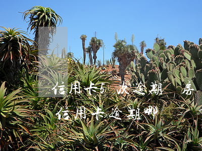信用卡5次逾期對房貸有影響嗎(房貸逾期與信用卡逾期哪個嚴重)