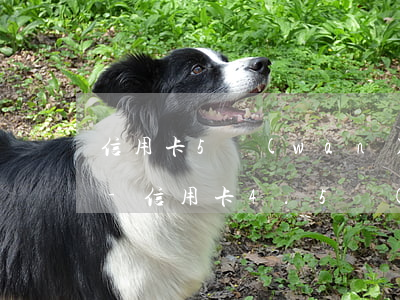 信用卡5萬(wàn)逾期4個(gè)月-信用卡4.5萬(wàn)逾期一年多了
