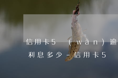 信用卡5萬(wàn)逾期5個(gè)月利息多少-信用卡5萬(wàn)逾期5個(gè)月利息多少錢