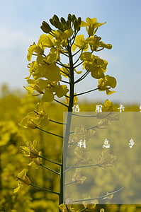 信用卡5萬(wàn)逾期兩個(gè)月利息多少(信用卡5萬(wàn)逾期兩個(gè)月利息多少錢(qián))
