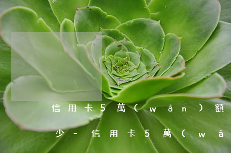 信用卡5萬(wàn)額度逾期每月利息多少-信用卡5萬(wàn)額度逾期每月利息多少錢(qián)