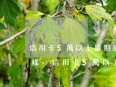 信用卡5萬以上逾期后果會(huì)怎么樣-信用卡5萬以上逾期會(huì)坐牢嗎