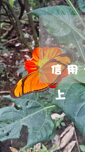 信用卡5萬以上額度逾期(信用卡逾期五萬以上)