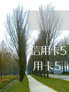 信用卡5萬以下逾期了會(huì)怎樣(信用卡5萬以下逾期了會(huì)怎樣辦)