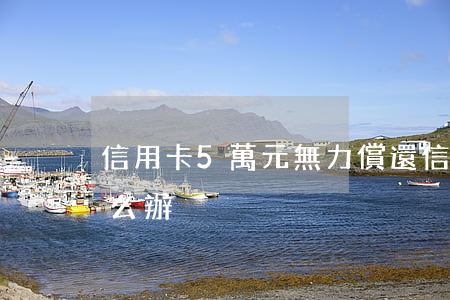 信用卡5萬元無力償還(信用卡5萬還不起怎么辦)