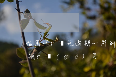 信用卡5萬元逾期一周利息(信用卡1萬元逾期5個(gè)月)