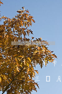信用卡5萬元逾期新政策(信用卡5萬多逾期三個月)