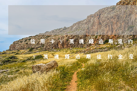 信用卡5萬塊錢逾期違約金是多少-信用卡5萬塊錢逾期違約金是多少錢