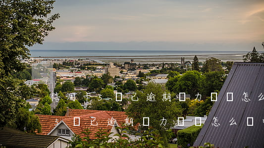 信用卡5萬已逾期無力償還怎么辦-信用卡5萬已逾期無力償還怎么辦呢