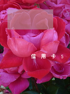 信用卡5萬逾期10天（5萬信用卡逾期7天）