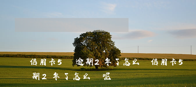 信用卡5萬逾期2年了怎么辦 信用卡5萬逾期2年了怎么辦呢
