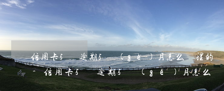信用卡5萬逾期5個(gè)月怎么處理的-信用卡5萬逾期5個(gè)月怎么處理的呢