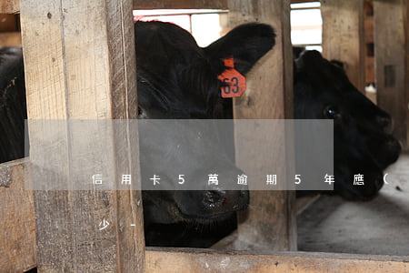 信用卡5萬逾期5年應(yīng)該還多少-