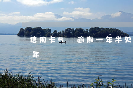 信用卡5萬逾期一年半(欠信用卡5萬逾期一年)