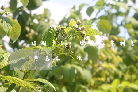 信用卡5萬逾期五年利息(信用卡5千逾期5年怎么處理)