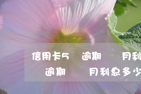 信用卡5萬逾期兩個月利息多少-信用卡5萬逾期兩個月利息多少錢
