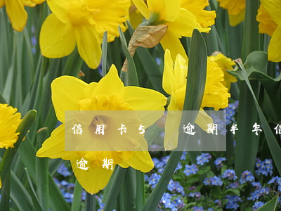 信用卡5萬逾期半年（信用卡5號到期沒還算逾期嗎）
