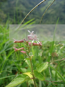 信用卡5萬逾期四年（信用卡15萬逾期4年）
