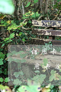 信用卡5萬逾期會(huì)坐牢嗎（5張信用卡逾期25萬怎么辦）
