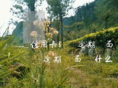 信用卡5萬逾期會面臨什么處理-信用卡5萬逾期會面臨什么處理方式