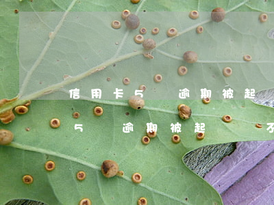 信用卡5萬逾期被起訴會不會坐牢-信用卡5萬逾期被起訴會不會坐牢呢