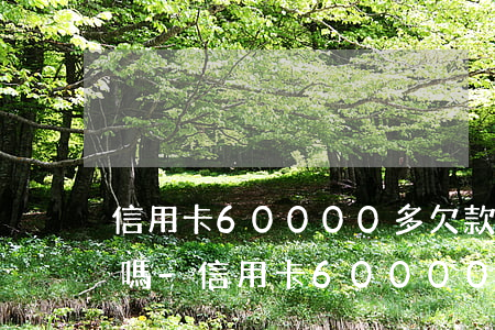 信用卡60000多欠款會(huì)立案嗎-信用卡60000多欠款會(huì)立案嗎