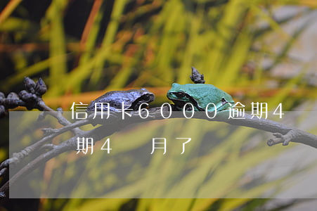 信用卡6000逾期4個月(信用卡6萬多逾期4個月了)