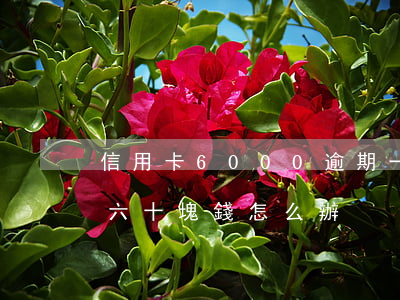 信用卡6000逾期一天多少錢（信用卡逾期六十塊錢怎么辦）