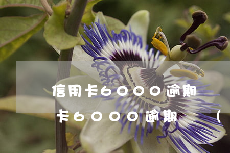 信用卡6000逾期兩個(gè)多月 信用卡6000逾期兩個(gè)多月了