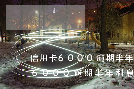 信用卡6000逾期半年利息多少-信用卡6000逾期半年利息多少錢