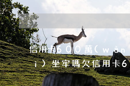 信用卡600萬(wàn)逾期了會(huì)坐牢嗎 欠信用卡60萬(wàn)坐牢幾年