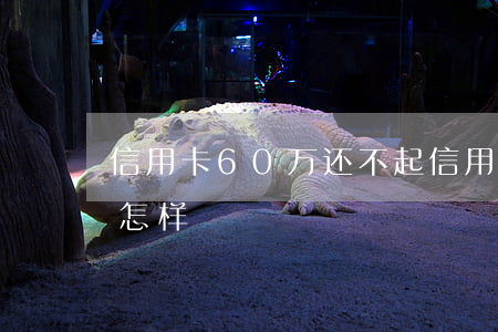 信用卡60万还不起(信用卡60万还不起会怎样)