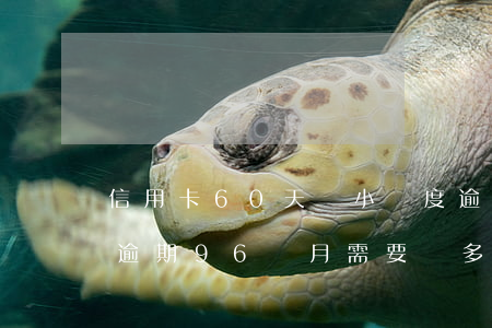 信用卡60天內小額度逾期(信用卡500元逾期96個月需要還多少)