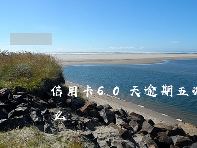 信用卡60天逾期五次(信用卡60天逾期怎么辦)