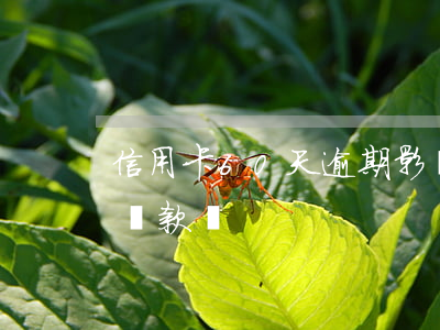 信用卡60天逾期影響貸款(逾期60天影響貸款嗎)