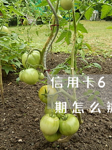 信用卡60天逾期怎么辦-信用卡60天逾期怎么辦理
