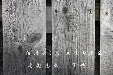 信用卡60天逾期怎么辦了-信用卡60天逾期怎么辦了呢