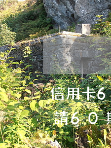 信用卡60天逾期怎么辦（信用卡逾期怎么申請60期）