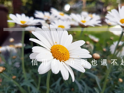 信用卡60期也還不起