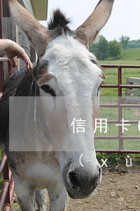 信用卡60期免息分期-信用卡60期手續(xù)費
