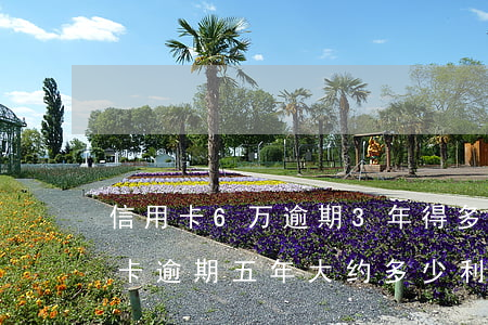 信用卡6万逾期3年得多少钱-两千的信用卡逾期五年大约多少利息