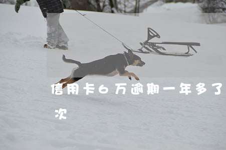 信用卡6万逾期一年多了（信用卡5年逾期七次）