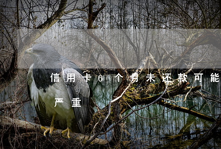 信用卡6个月未还款：可能导致账户冻结，后果严重