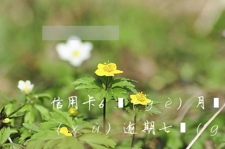 信用卡6個(gè)月處于逾期(信用卡連續(xù)逾期七個(gè)月)